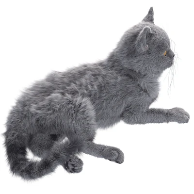 Gray Cat — Ver 4