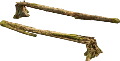 nordic forest tree fallen medium 002 — Descargar