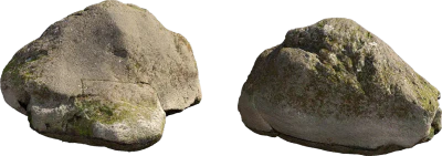 japanese mossy boulder 004 — Descargar