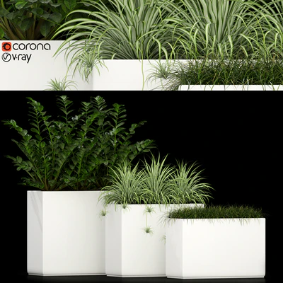 Plants collection 186 — Ver 1