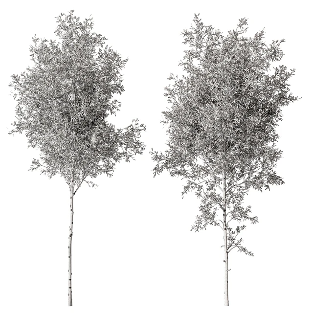 Tree Green Maple - Set 124 — Descargar