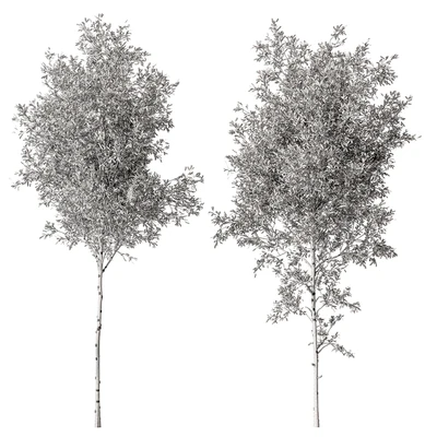 Tree Green Maple - Set 124 — Ver 2