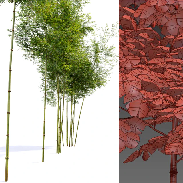 Four bamboo tree — Скачать