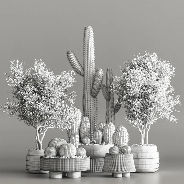 Cactus & plant vol 01 — Descargar