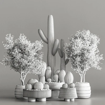 Cactus & plant vol 01 — Ver 5