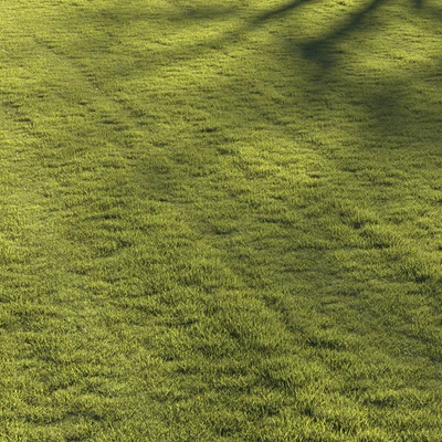 Lawn grass №2 — Ver 4