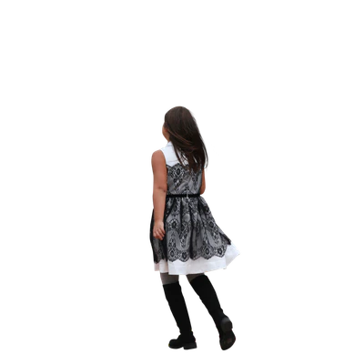 2572 — Descargar