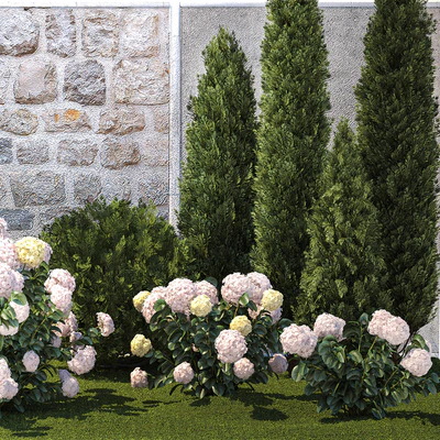 Collection of plants garden with bushes and trees for landscape design with thuja, cypress, flowering Hydrangea white. Set 1378. — Ver 5
