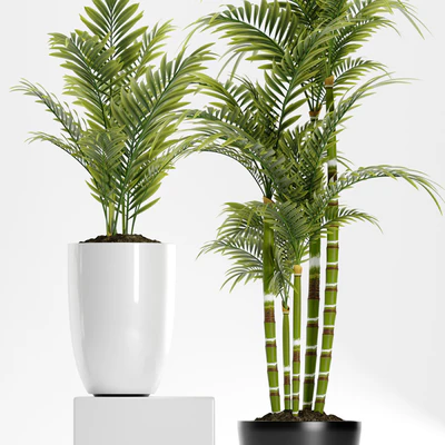 PLANTS 158 — Вид 3