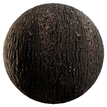 burnt pine bark 001 — Descargar