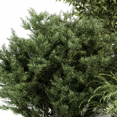 Mixed Plant Bush - Bush Set 37 — Вид 4