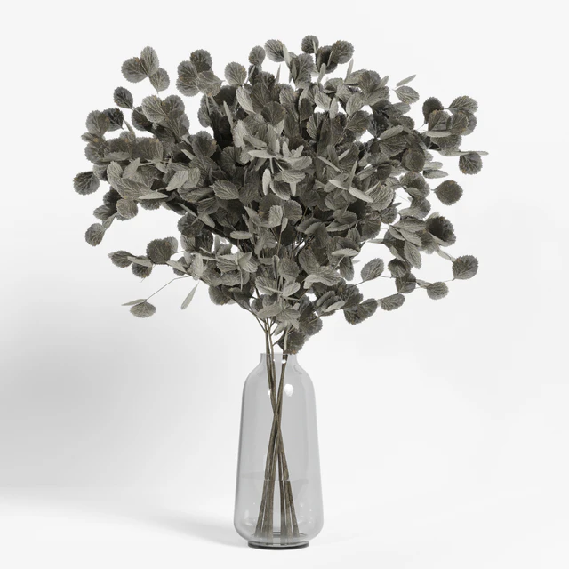 collection of indoor plants Vol04 — Скачать