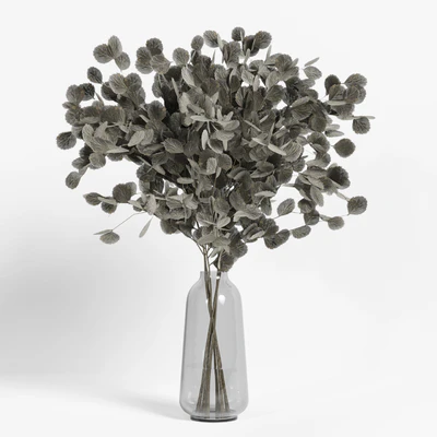 collection of indoor plants Vol04 — Вид 3