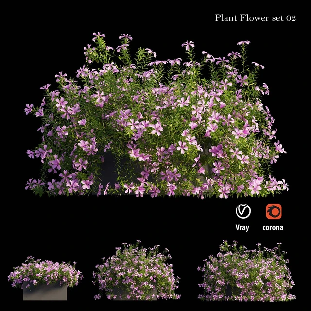 Plant Flower set 02 — Скачать