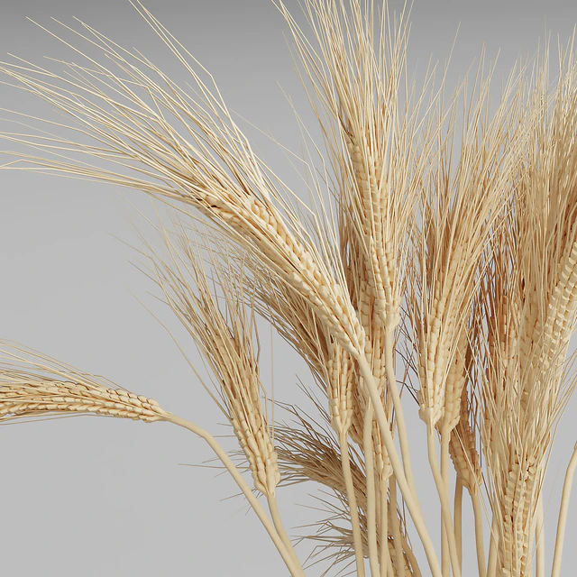 Wheat bouquets — Descargar