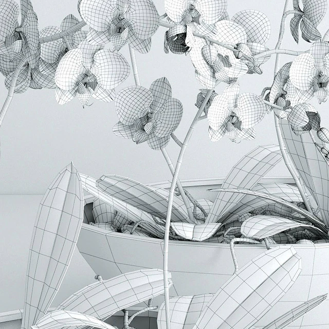 Orchid — Descargar