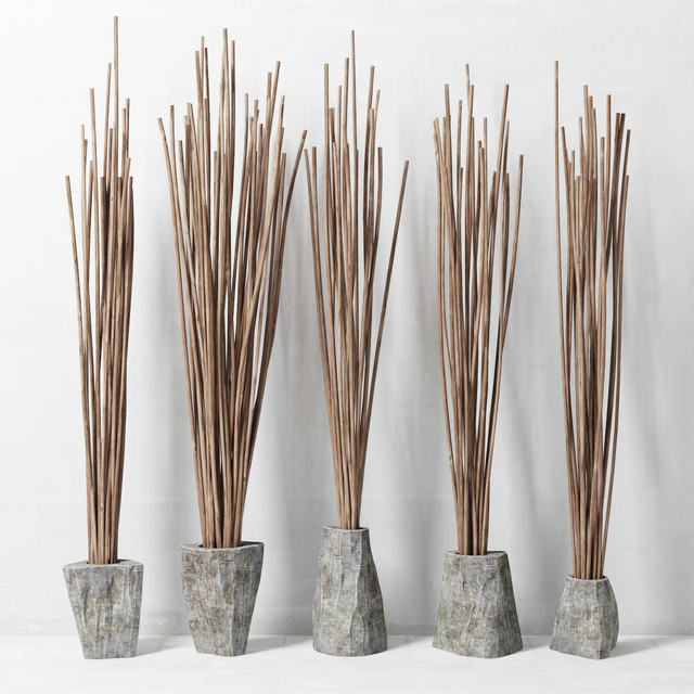 Branches in vase decor / Decor of branches in vases — Descargar