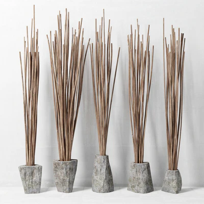 Branches in vase decor / Decor of branches in vases — Ver 2