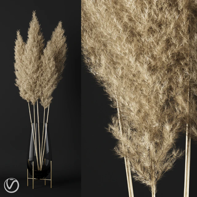 A bunch of pampas — Descargar
