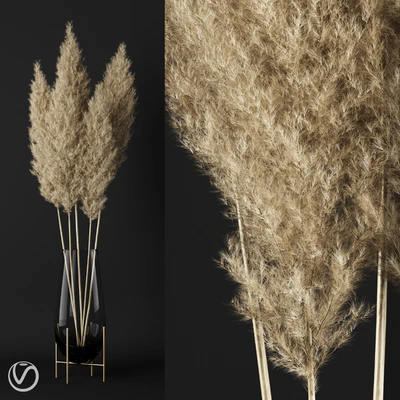 A bunch of pampas — Ver 1