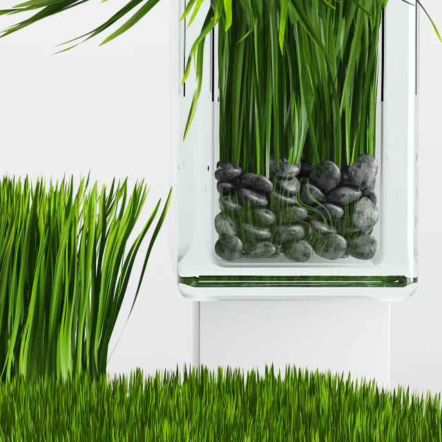 Grass Arrangement — Скачать