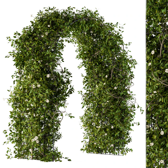 The plants pergola — Descargar