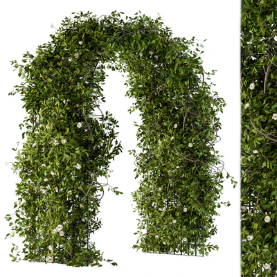 The plants pergola — Ver 1
