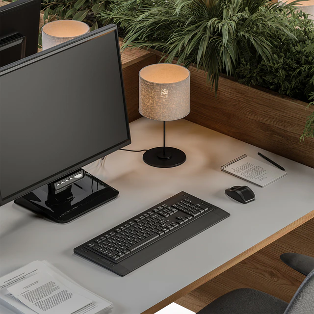 Employee Set Wood and Black Plant Box Divider - Office Furniture 336 — Descargar