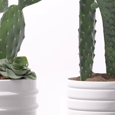 Contemporary houseplants 2 — Вид 3