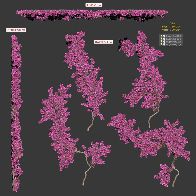 Bougainvillea for walls. 4 models — Descargar
