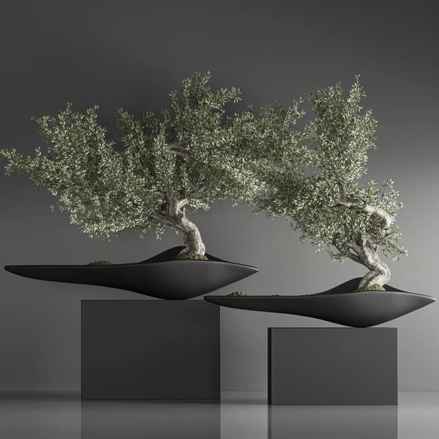 indoor plant bonsai set 29 — Скачать