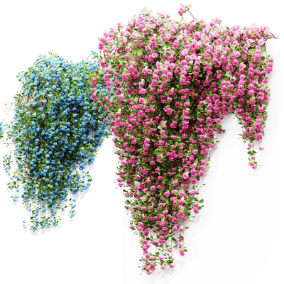 New Plant High detail Climbing Roses Wall Grow Top — Вид 2