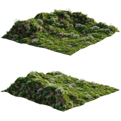 Grass on the slope — Вид 3