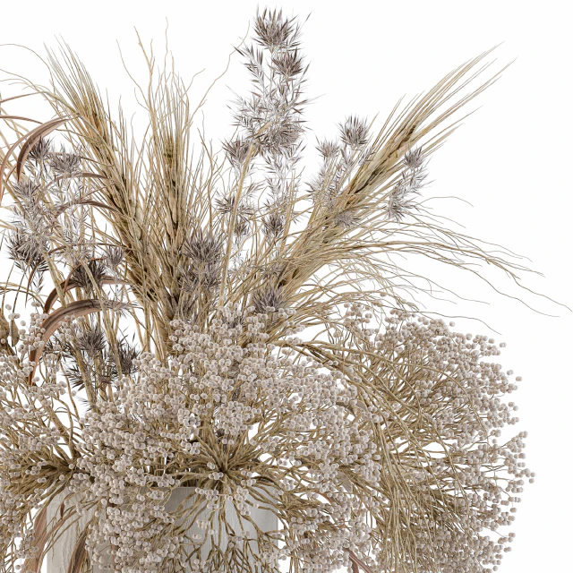 Dry Plants Set 08 — Descargar