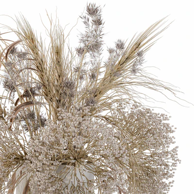 Dry Plants Set 08 — Ver 4
