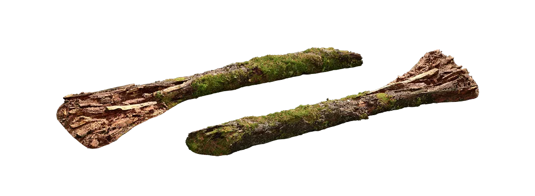 nordic forest tree fallen medium 001 — Download