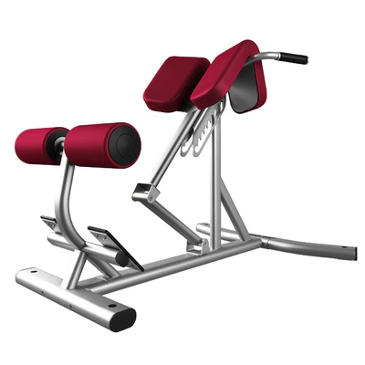Lifefitness Signature Series Back Extension — View 3