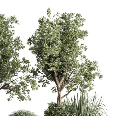 Collection indoor outdoor plant 120 plant tree grass vase dirty concrete — Ver 5