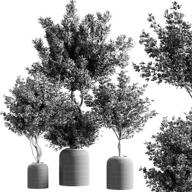 indoor plant set 21 — Скачать