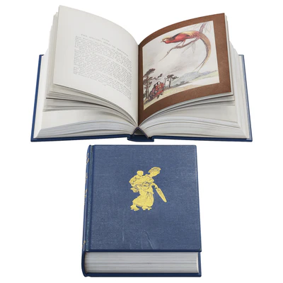 Open Books Collection set 5 — Ver 4