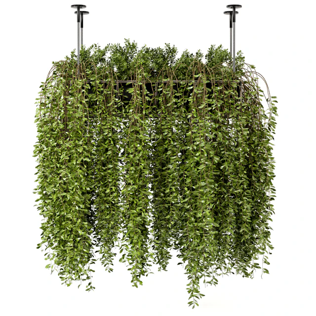 Indoor Hanging Plants in Metal Box - Set 192 — Descargar