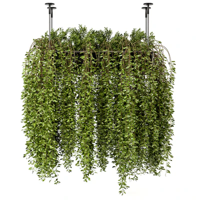 Indoor Hanging Plants in Metal Box - Set 192 — Ver 5