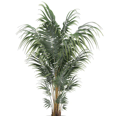 Beautiful decorative lush indoor palm tree in a white modern pot with Hovea, kentia, neanta. Set 518. — Ver 3