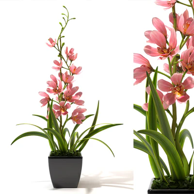 ORCHID 4 — Скачать
