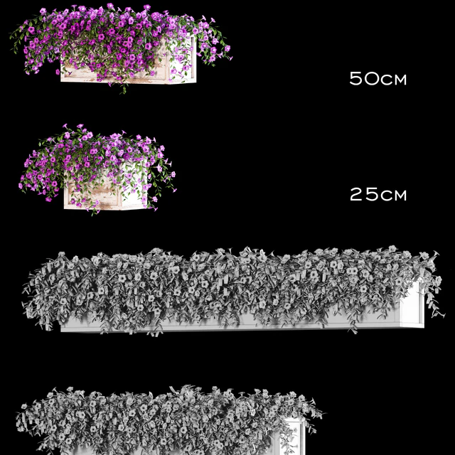 Flowers for the balcony — Descargar