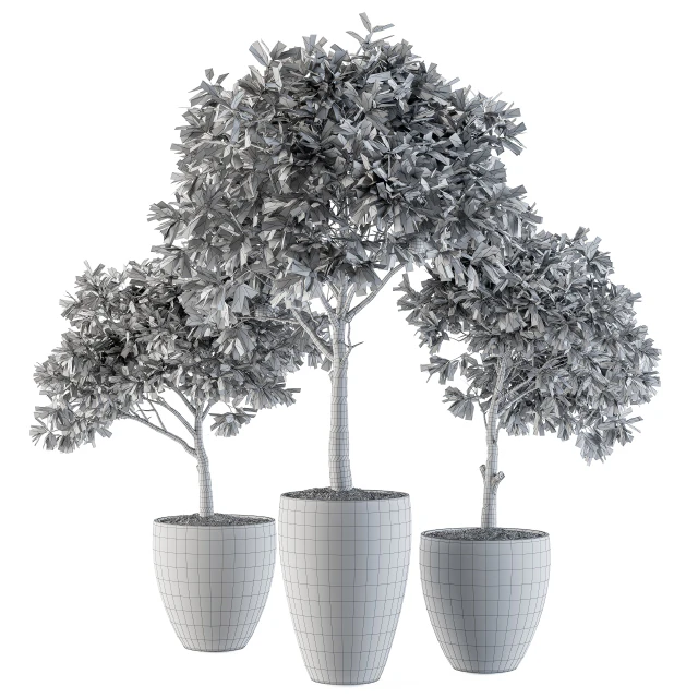 Outdoor Plants lemon tree - Set 97 — Descargar