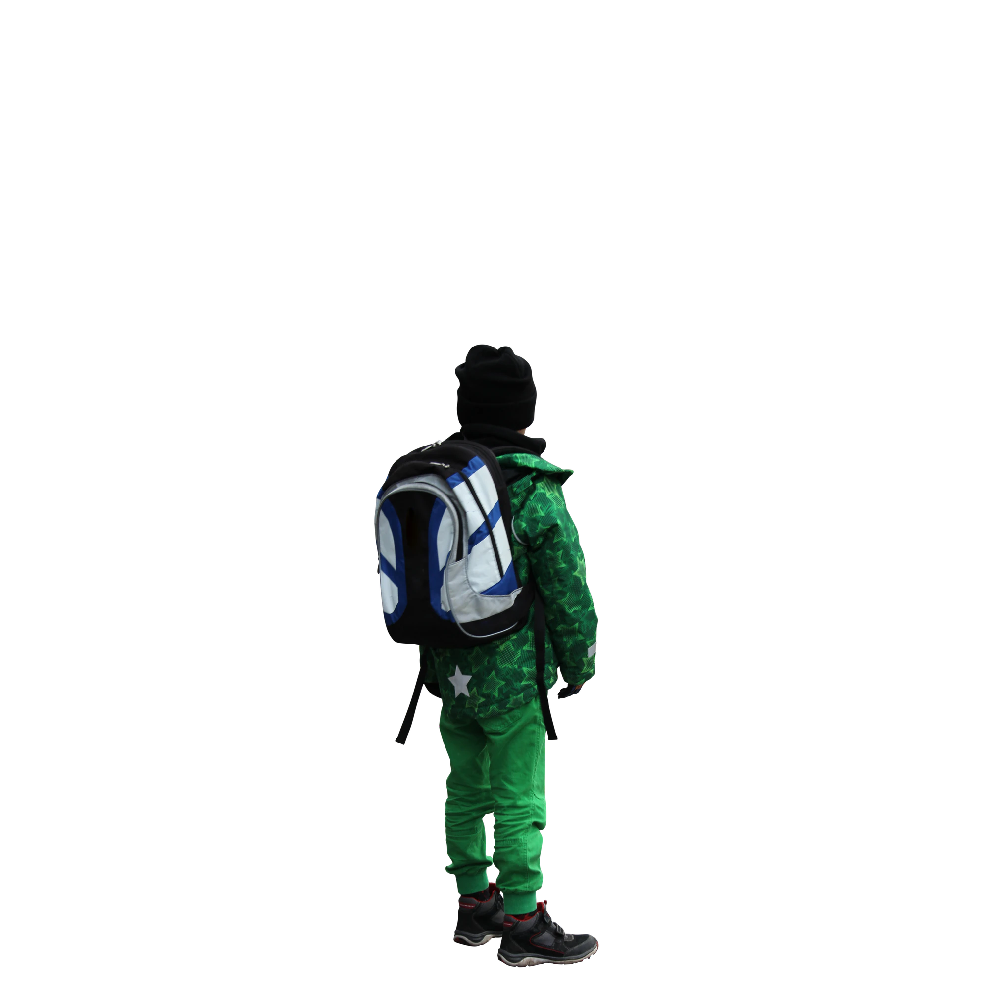 3020 — Descargar
