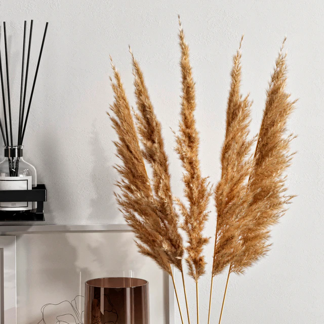 Decorative set with dried flowers 04 — Descargar