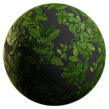 large shrub leaves 001 — Descargar