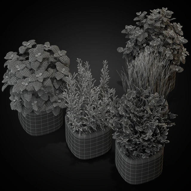 Plants collection 261 — Download